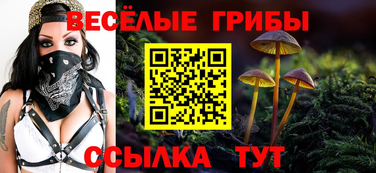 Вичуга  Псилоцибиновые грибы прущие грибы  Псилоцибиновые грибы MAGIC MUSHROOMS  Вход с VPN 