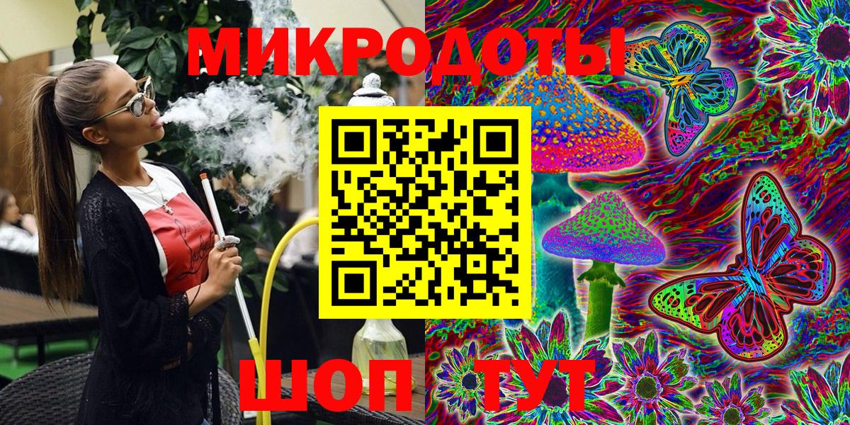 Псилоцибиновые грибы Psilocybe Вичуга